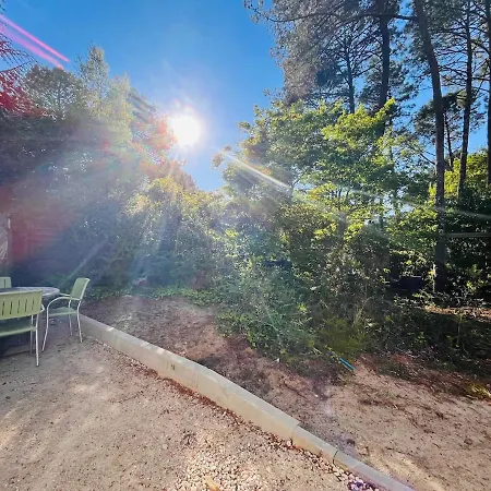 Apartamento Modern With Private Garden & Shared Pool Seignosse