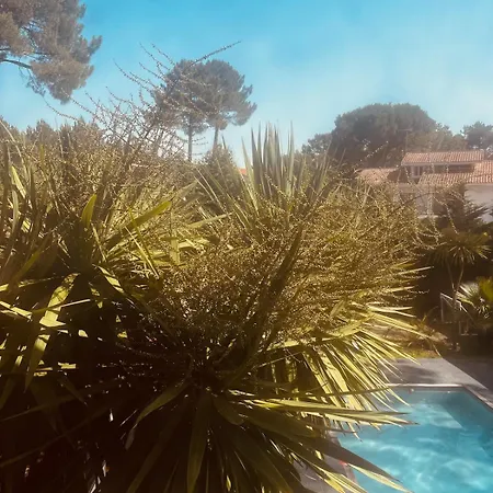 Forest Garden Retreat With Pool Near The * Seignosse