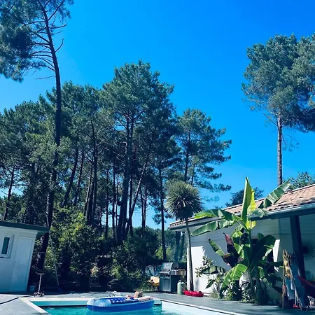 Forest Garden Retreat With Pool Near The Seignosse