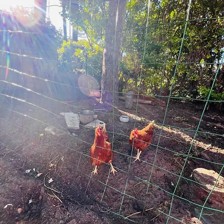 Apartamento Modern With Private Garden & Shared Pool *