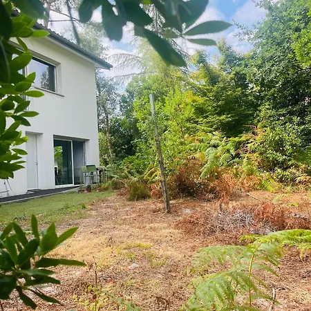 Forest Garden Retreat With Pool Near The 세노스