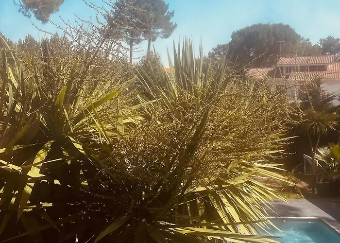 Modern With Private Garden & Shared Pool * Seignosse