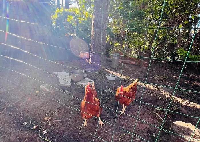 Appartement Modern With Private Garden & Shared Pool *